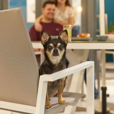 Roma 8 Seat Dining Set - 2m x 1m Rectangular Table Roma 8 Seat Dining Set - 2m x 1m Rectangular Table