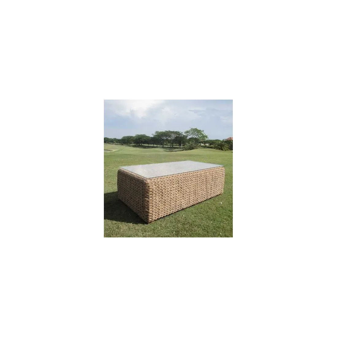product name product category name product name product category name