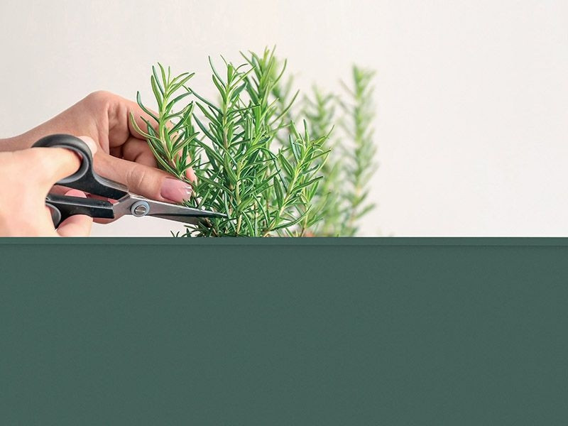 Urban Garden Trolley | Olive Green