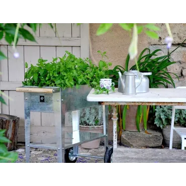 Urban Garden Trolley | Galvernised
