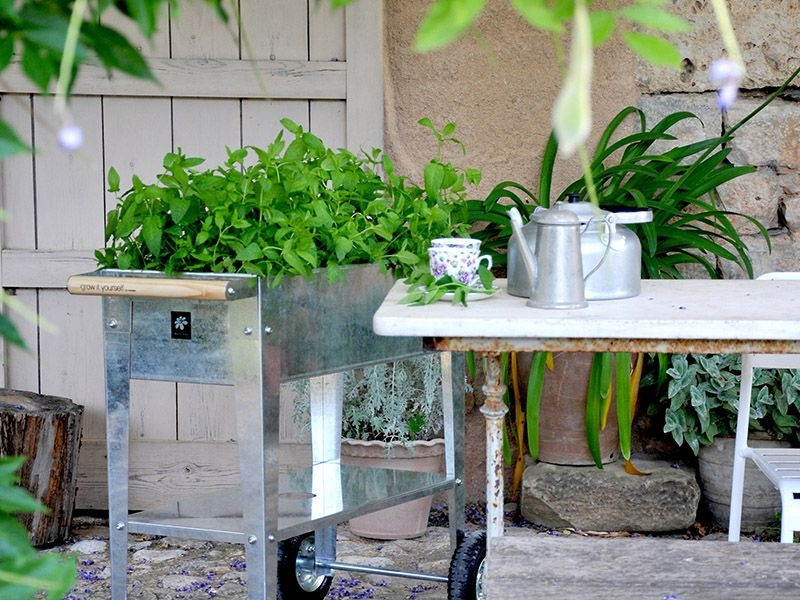 Urban Garden Trolley | Galvernised