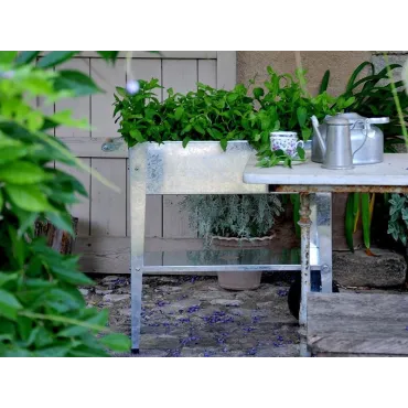 Urban Garden Trolley | Galvernised