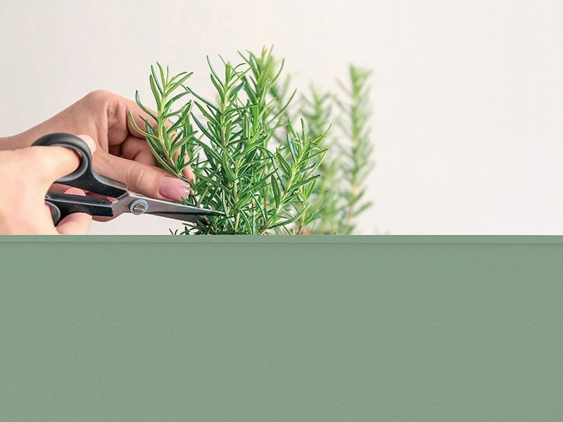 Urban Garden Trolley | Sage Green