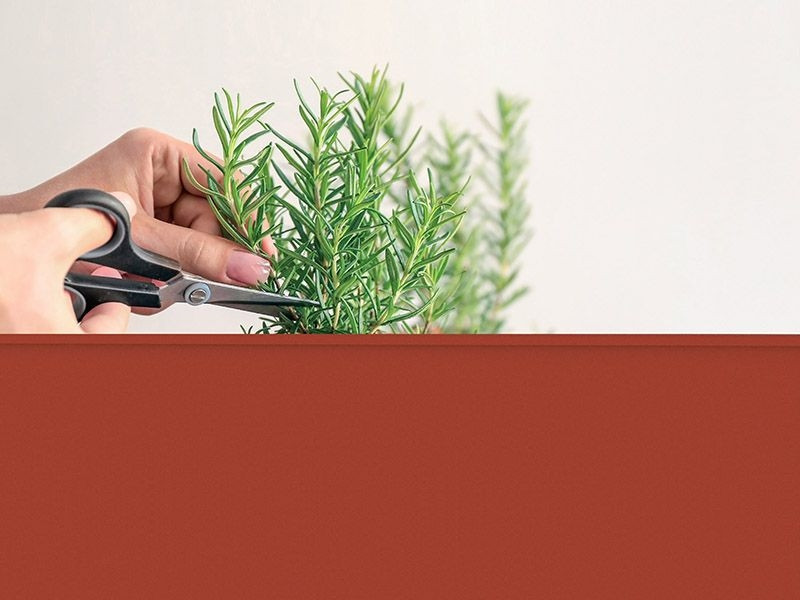 Urban Garden Trolley | Red