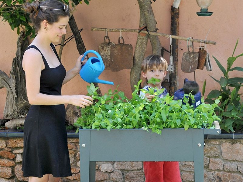Urban Garden Trolley | Anthracite