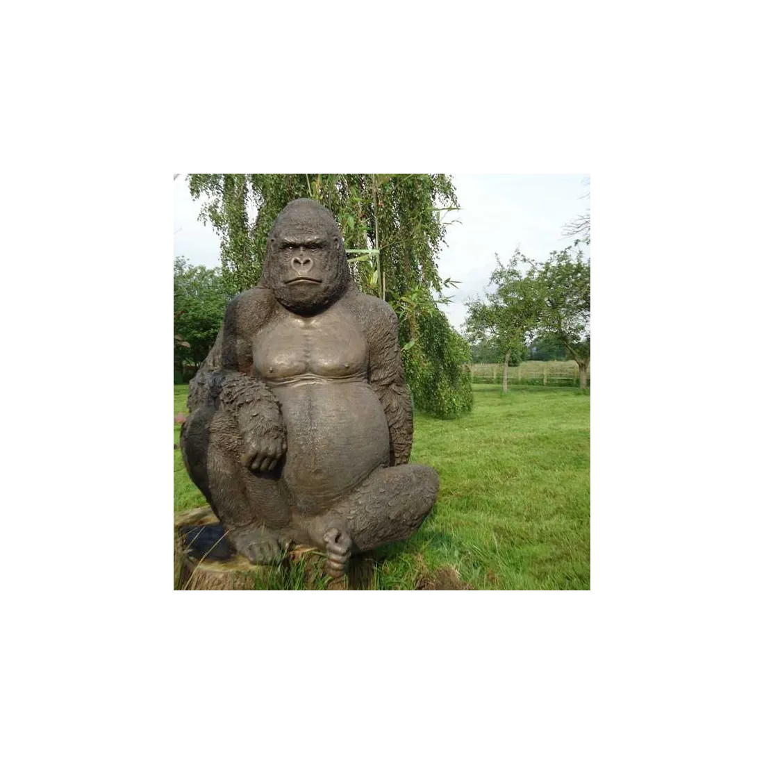 product name product category name