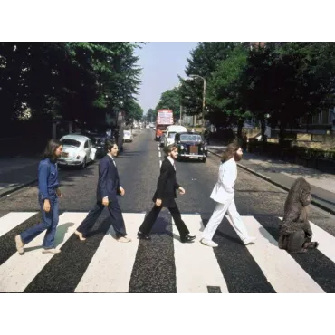 product name product category name