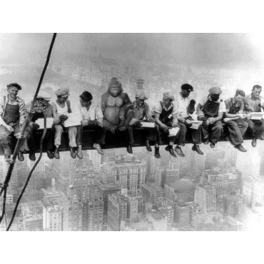 product name product category name