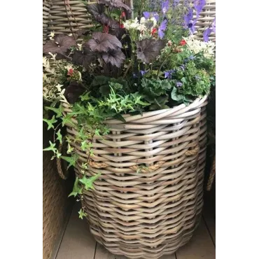 Fiji Basket