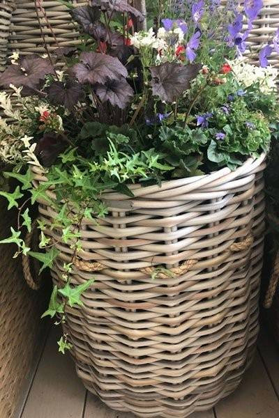 Fiji Basket