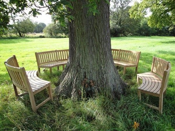 Contour Bench Certified Teak