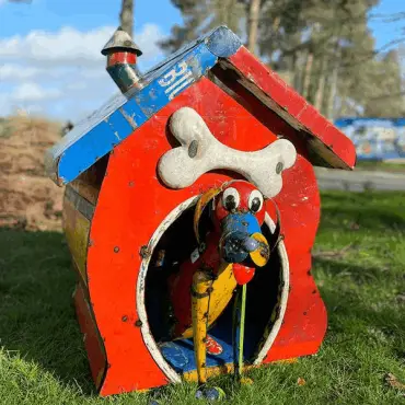 In The Dog House