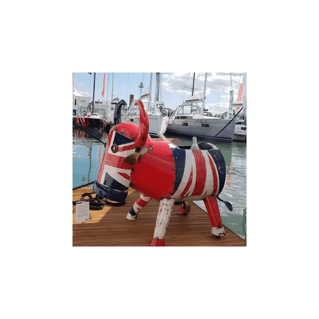 Alfie the Bull cooler Large