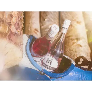 Pete The Pelican Drinks Tub