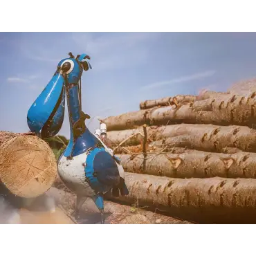 Pete The Pelican Drinks Tub