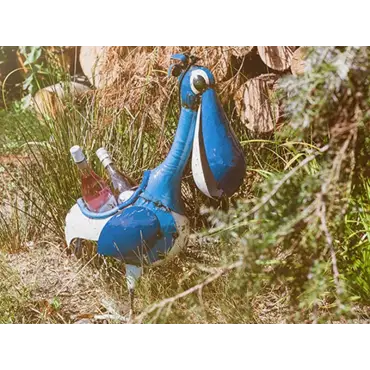 Pete The Pelican Drinks Tub