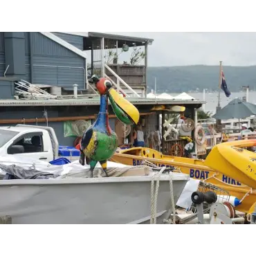 Pete The Pelican Drinks Tub