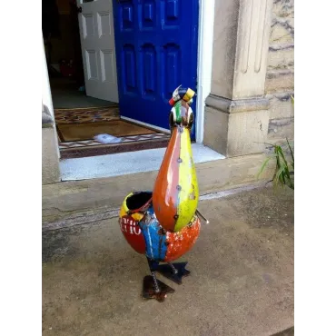 Pete The Pelican Drinks Tub