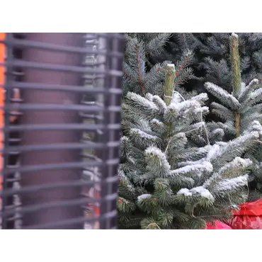 Bluetooth Heat & Beat Tower Heater