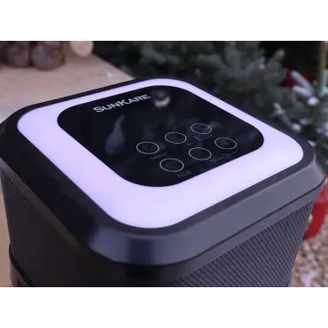 Bluetooth Heat & Beat Tower Heater