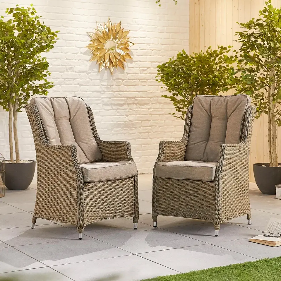 Thalia Rattan Dining Chair - Set of 2