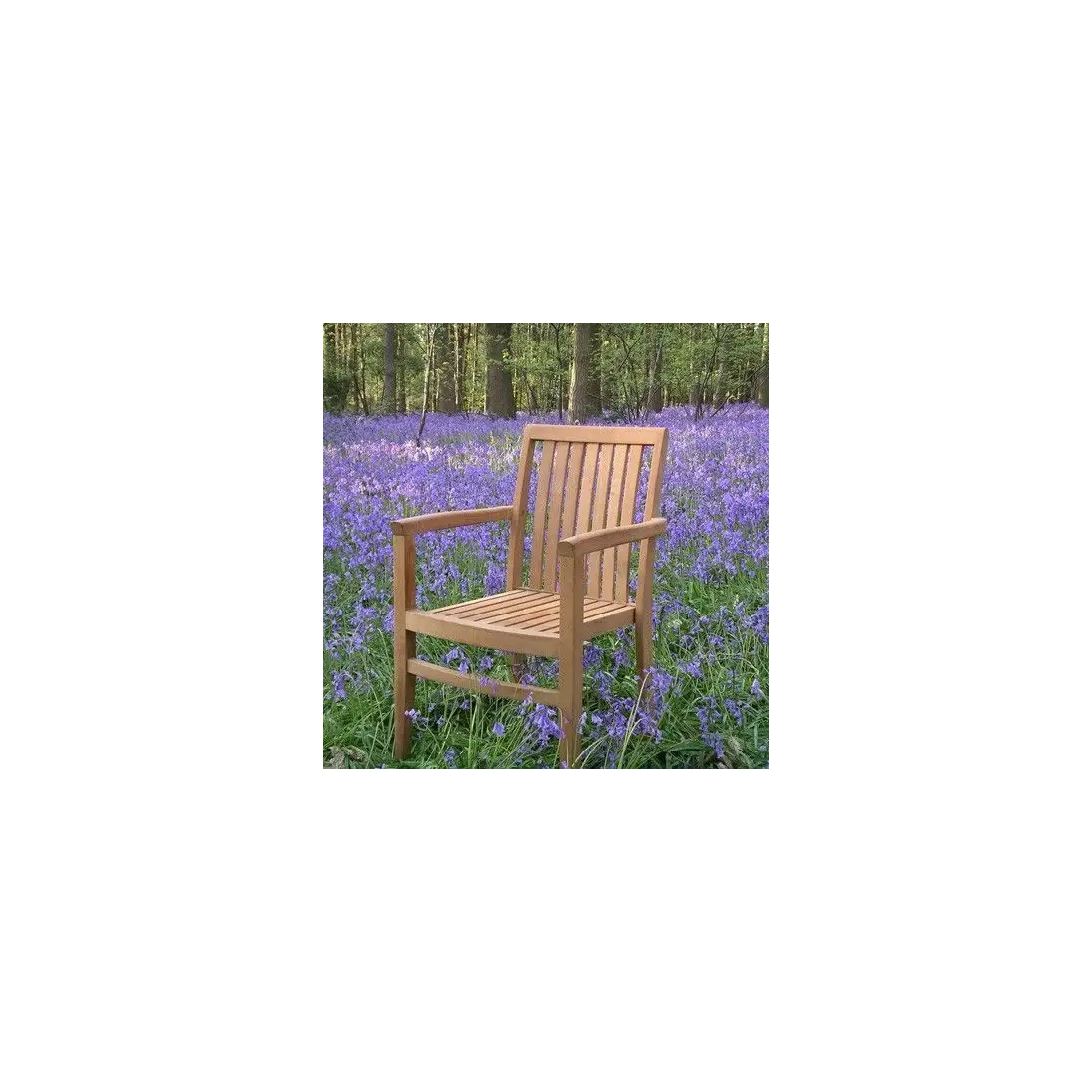 Warwick stacking chair Teak Certified Warwick stacking chair Teak Certified