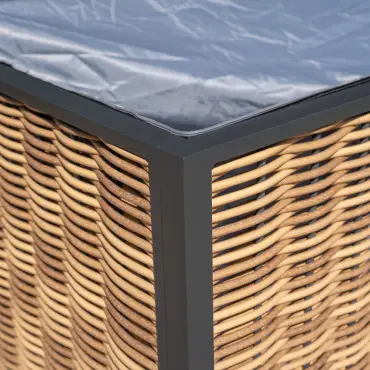 Caleb Rattan Aluminium Storage Box