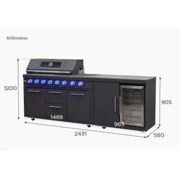 Riley Straight Outdoor Kitchen 6 Burner Gas BBQ S2131-A