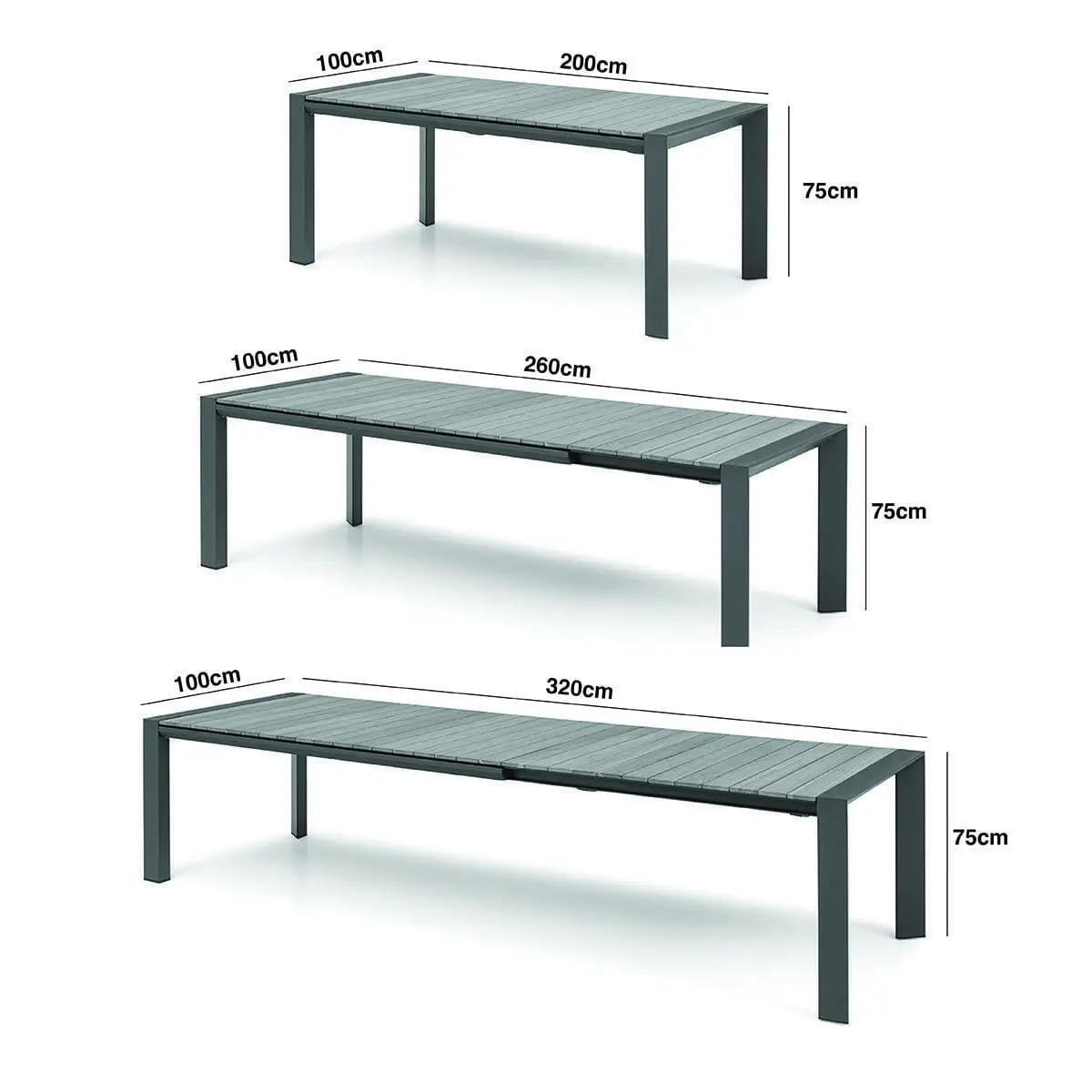 Exclusive Java Set Jakarta Table and stylish 8 elegant chairs