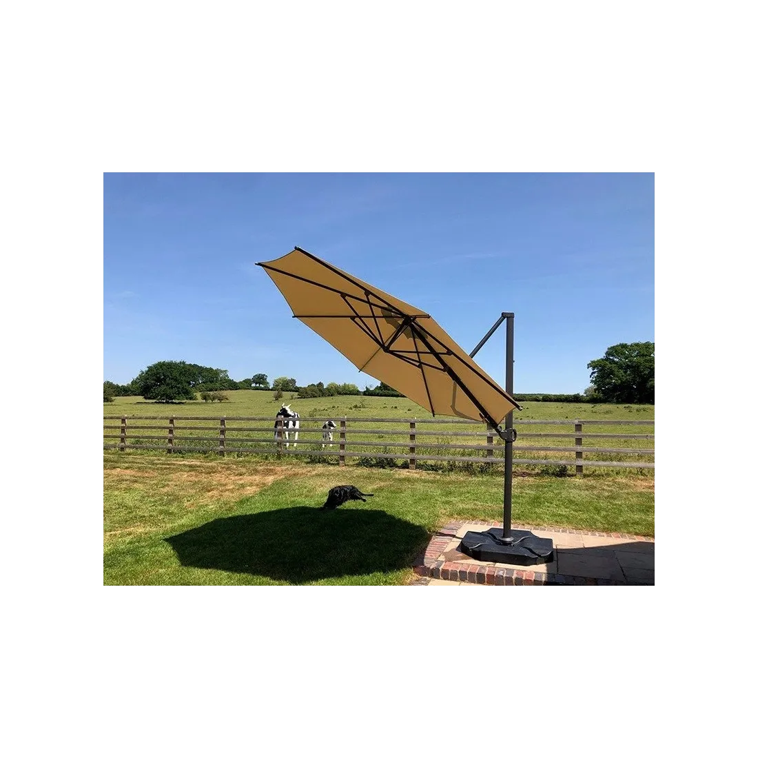 product name product category name