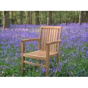 Warwick stacking chair Teak Certified