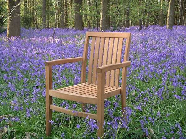 Warwick stacking chair Teak Certified