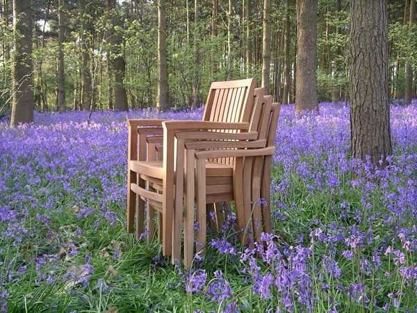 Warwick stacking chair Teak Certified