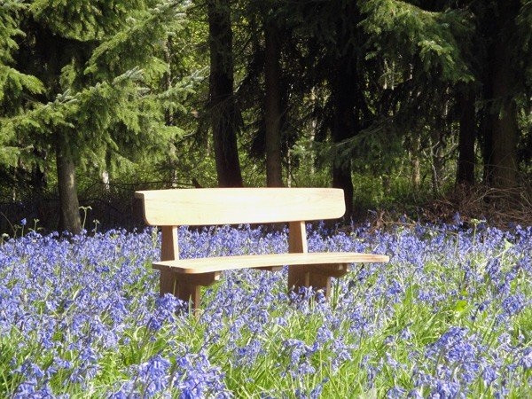 Romance teak bench