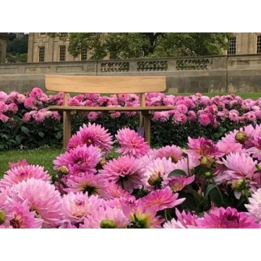 Romance teak bench