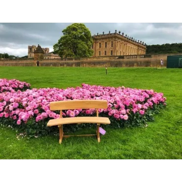 Romance teak bench